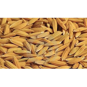 Rex Rice Seed Certified - Seed World