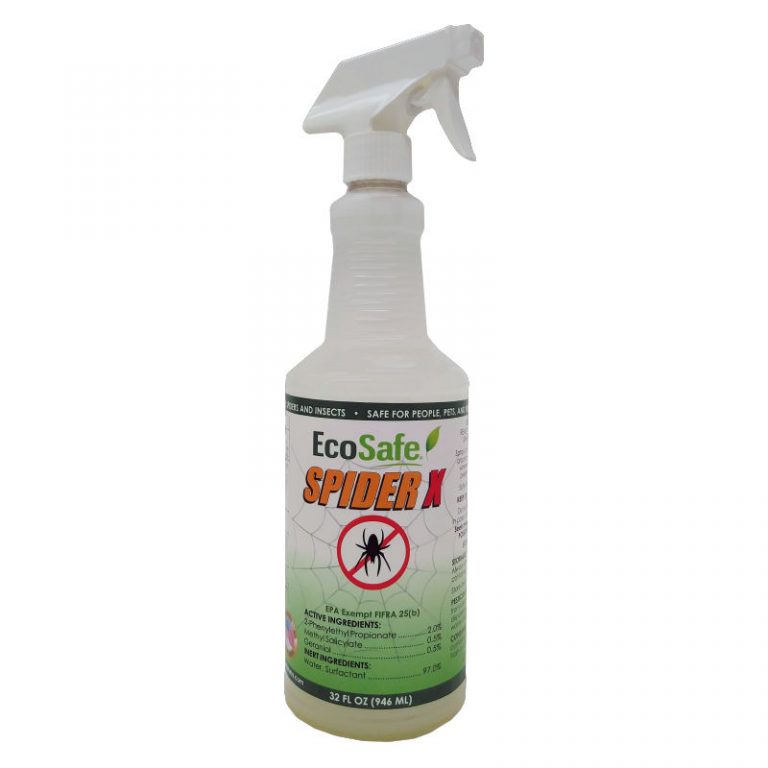 Spider X Insecticide - 32 oz. | Seed World