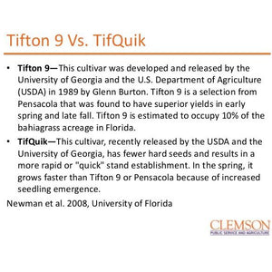 Tifquik vs Tifton 9 Bahia Grass Seed