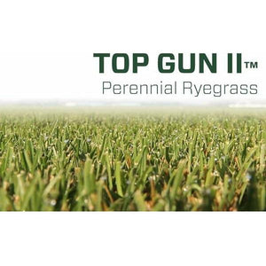 Top Gun II Perennial Ryegrass Seed - 50 Lbs. - Seed World