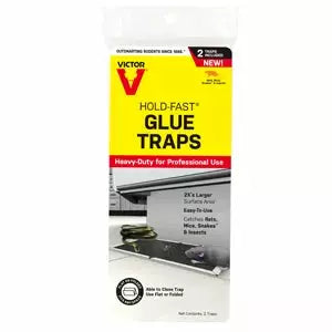 Victor Rat Glue Tray - Seed World