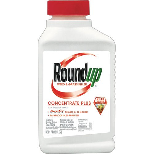 Roundup Concentrate Plus Weed and Grass Killer - 16 Oz. - Seed World