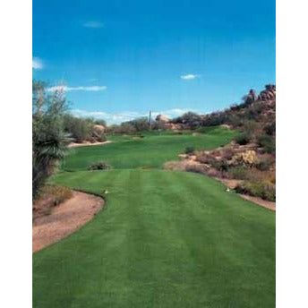 Yukon Turf Type Bermuda Grass Seed - Seed World