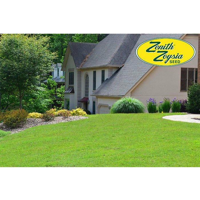 planting zenith zoysia seed Zenith Zoysia Grass Seed