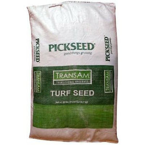 TransAm Intermediate Ryegrass Seed - 1 Lb. - Seed World