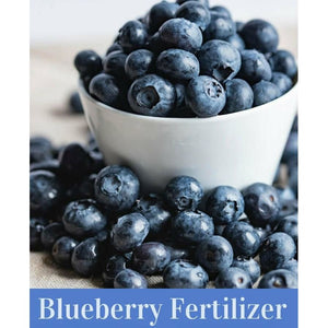 Special Blueberry 12-6-8 Fertilizer - 50 lbs. - Seed World