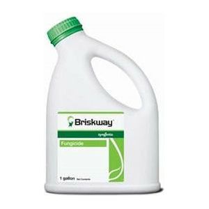 Briskway Fungicide - 1 Gallon - Seed World