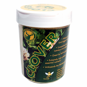 Tecomate Clover Seed - 1.2 Lbs. - Seed World