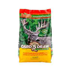 5 Card Draw Seed Mix - 10 lbs. - Seed World