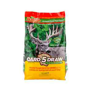 5 Card Draw Seed Mix - 10 lbs. - Seed World