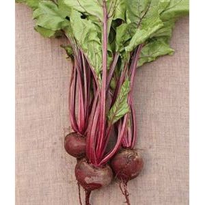 Beets Early Wonder Seed - 1 Packet - Seed World