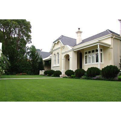 Hybrid Zoysia Grass Seed | Seed World