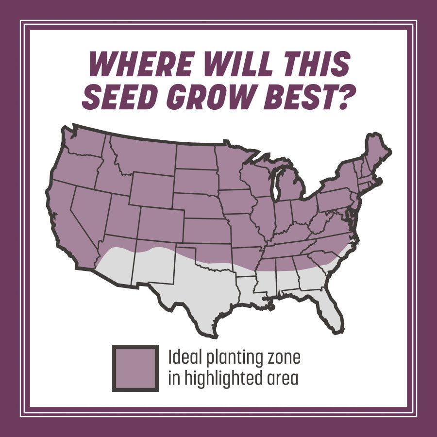grass seed planting zones Pennington Tall Fescue Shade Area Grass Seed Mix
