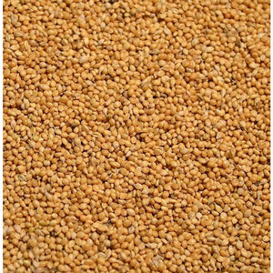 Golden German Millet - 50lbs. - Seed World