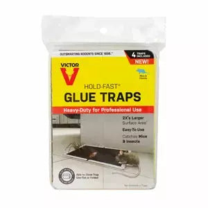 Victor Rat Glue Tray - Seed World