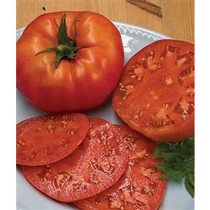Tomato beefsteak seed