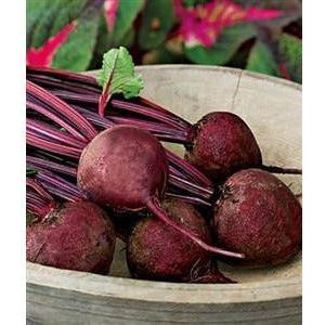 Beets Detroit Dark Red Seed - 1 Packet - Seed World