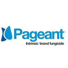 Pageant Intrinsic Brand Fungicide - 12 Lbs. | Seed World