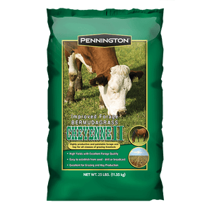 Cheyenne Bermuda Grass Seed