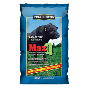 MaxQ Jesup Forage Tall Fescue Grass Seeds- 25 lbs. - Seed World