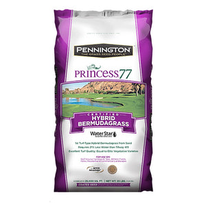 princess 77 bermuda grass seed lowes Princess 77 Bermuda Grass Seed One of the Best Hybrid Bermuda Grasses Available.– Seed World