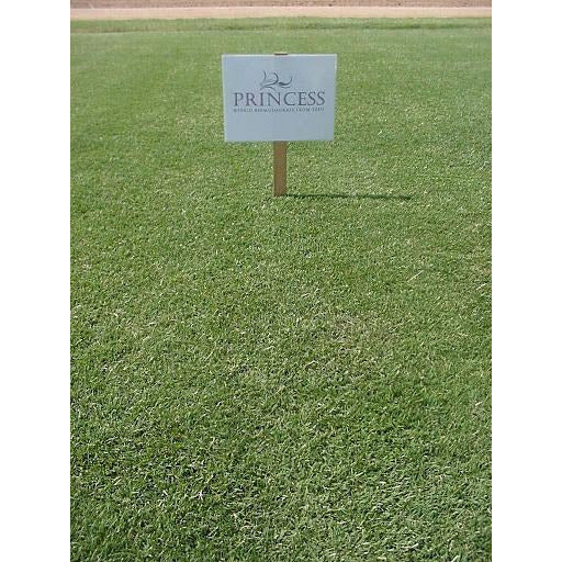 princess 77 bermuda grass seed lowes Princess 77 Bermuda Grass Seed (Discontinued)