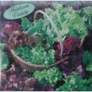 Lettuce Reds and Greens Loose Leaf Mix Seed Heirloom - 1 Packet - Seed World