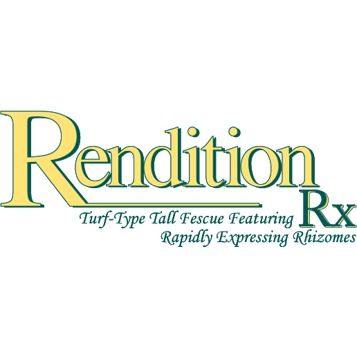 Rendition Turf-type Tall Fescue Grass Seeds - 50 lbs. - Seed World