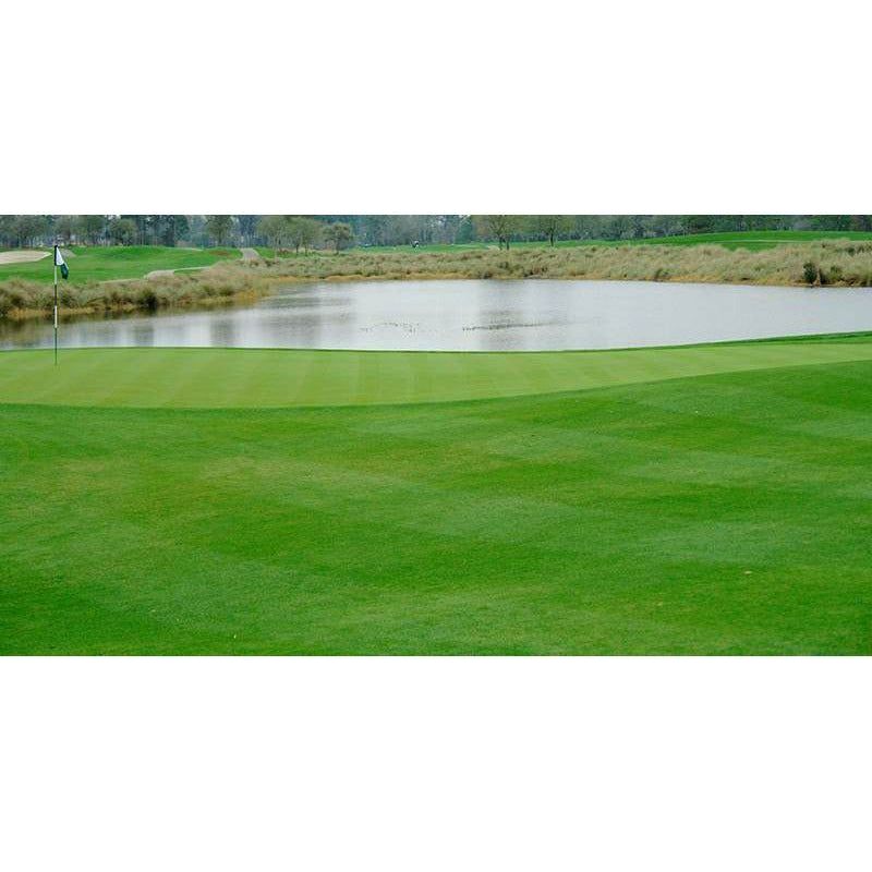 Southern Supreme Perennial Ryegrass Seed Blend - Seed World
