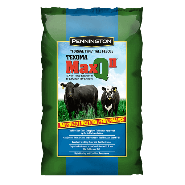 MaxQ II Tall Fescue Perennial Grass - 25 lbs. - Seed World