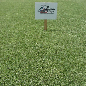 Triangle Bermuda Grass Seed - 8 Oz. - Seed World