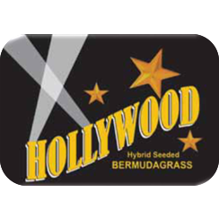 Hollywood Bermuda Grass Seed - 25 lbs - Seed World