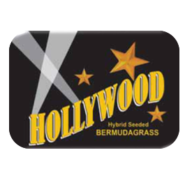 Hollywood Bermuda Grass Seed - 25 lbs - Seed World