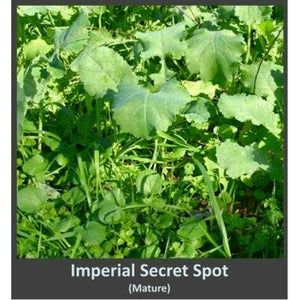 Secret Spot - Food Plot - 4 Lbs. - Seed World