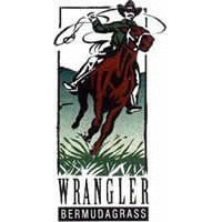 Wrangler Bermuda Grass Seed - Seed World